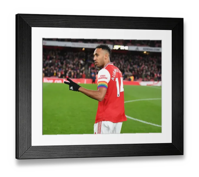 Framed Print : Arsenal's Aubameyang Readies for Arsenal vs. Brighton Showdown Framed Print : Arsenal's Aubameyang Readies for Arsenal vs. Brighton Showdown