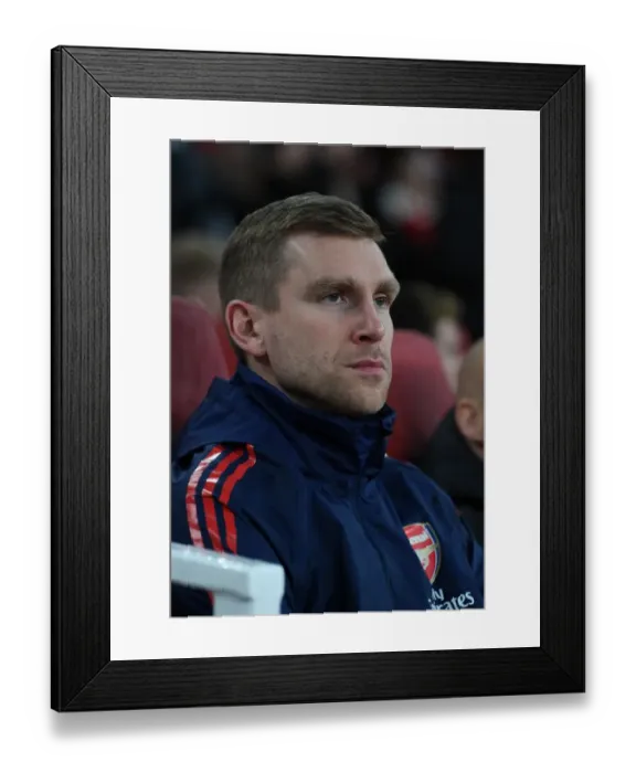 Framed Print : Arsenal Interim Assistant Coach Per Mertesacker Against Brighton & Hove Albion in Premier League, Emirates Stadium, London, 2019 Framed Print : Arsenal Interim Assistant Coach Per Mertesacker Against Brighton & Hove Albion in Premier League, Emirates Stadium, London, 2019