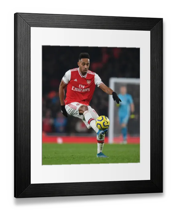 Framed Print : Arsenal's Aubameyang Readies for Manchester United Showdown in Premier League Clash Framed Print : Arsenal's Aubameyang Readies for Manchester United Showdown in Premier League Clash