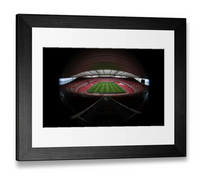 Framed Print : Arsenal vs Leeds United: FA Cup Third Round at Emirates Stadium Framed Print : Arsenal vs Leeds United: FA Cup Third Round at Emirates Stadium