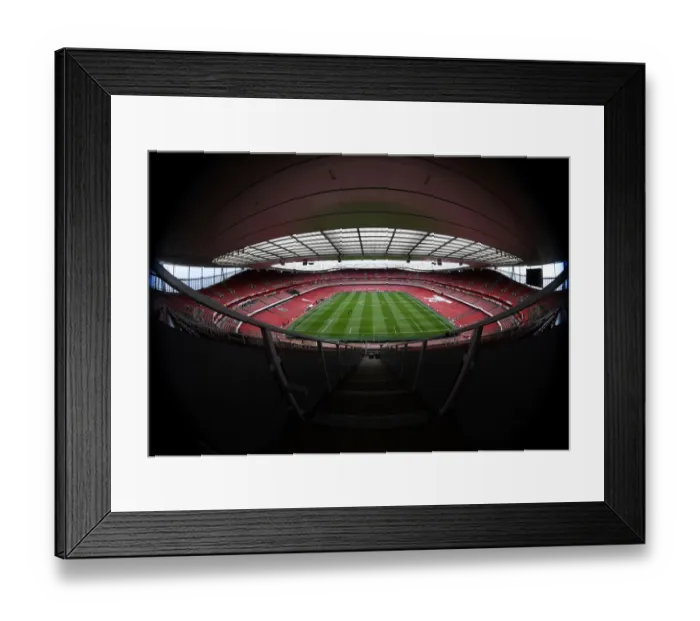 Framed Print : Arsenal vs Leeds United: FA Cup Third Round at Emirates Stadium Framed Print : Arsenal vs Leeds United: FA Cup Third Round at Emirates Stadium
