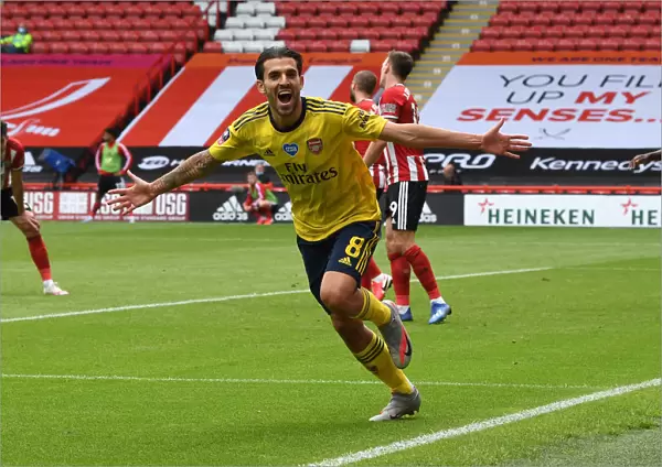 SHEFFIELD, ENGLAND - JUNE 28: Dani Ceballos celebrates scoring Arsenals 2nd goal during the FA Cup Fifth Quarter Final
