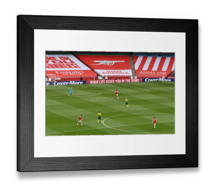 Framed Print : Arsenal vs Norwich: Premier League Clash at Emirates Stadium Framed Print : Arsenal vs Norwich: Premier League Clash at Emirates Stadium