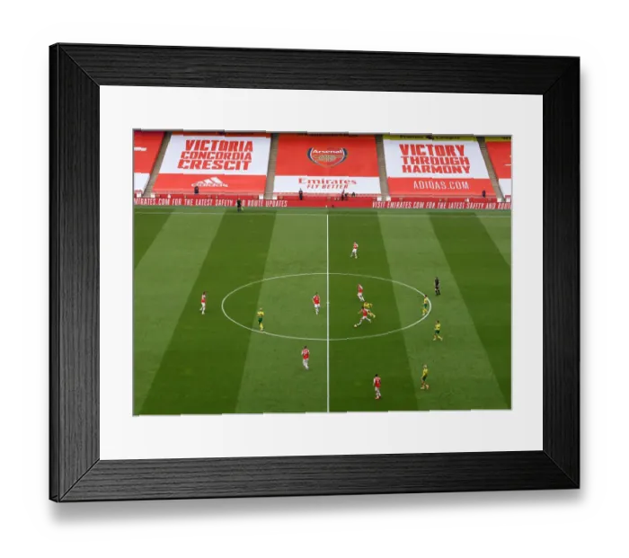 Framed Print : Arsenal vs Norwich: Premier League Clash at Emirates Stadium Framed Print : Arsenal vs Norwich: Premier League Clash at Emirates Stadium