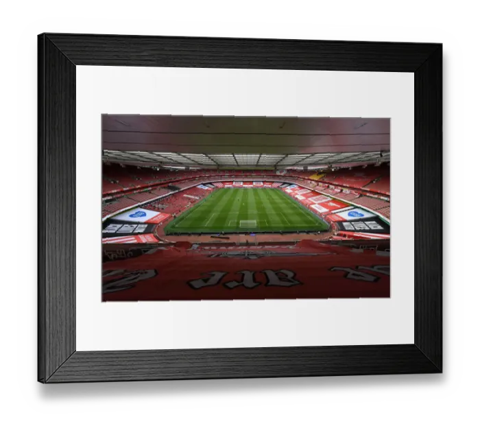 Framed Print : Arsenal vs Norwich: Premier League Match at Emirates Stadium Framed Print : Arsenal vs Norwich: Premier League Match at Emirates Stadium