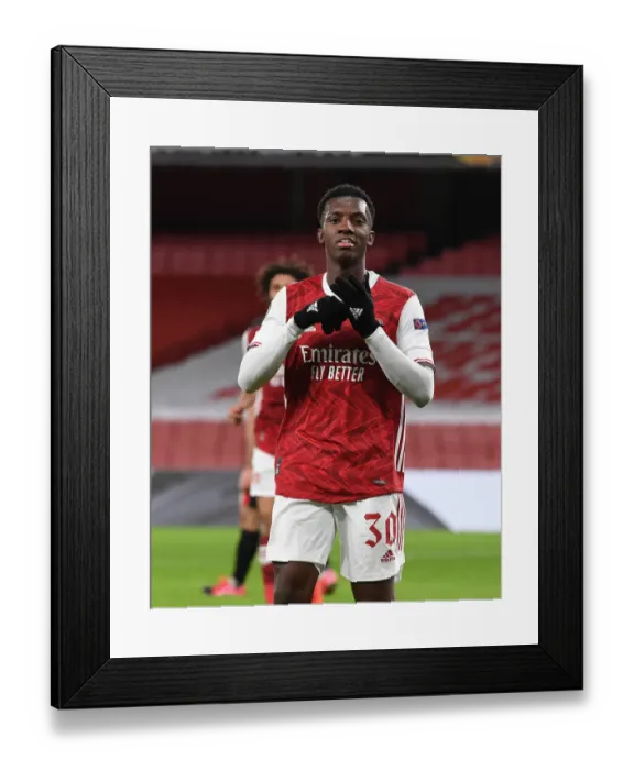 Framed Print : Arsenal vs Dundalk: Empty Emirates Stadium - UEFA Europa League Match, October 2020 Framed Print : Arsenal vs Dundalk: Empty Emirates Stadium - UEFA Europa League Match, October 2020