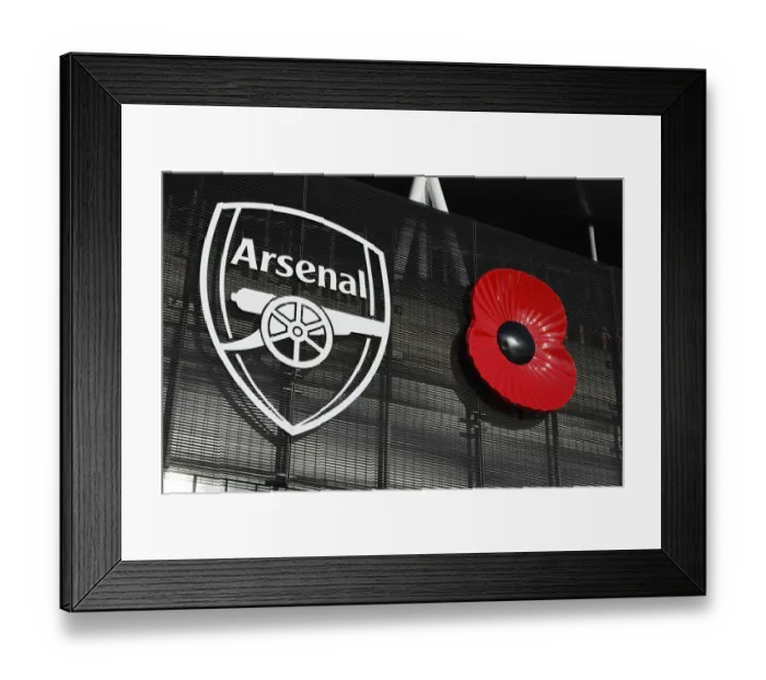 Framed Print : Arsenal's Poppy Tribute: Arsenal vs Molde, Europa League at Emirates Stadium, London