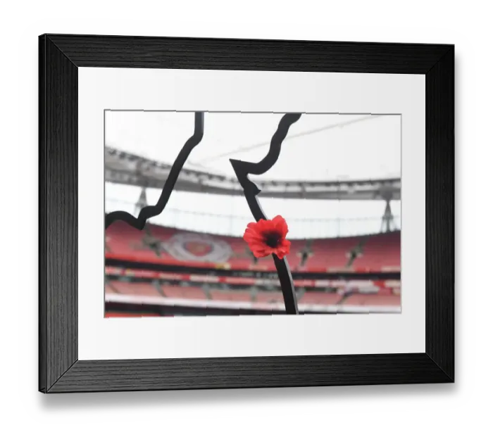 Framed Print : Remembrance Day at Empty Emirates: Arsenal vs. Aston Villa, 2020-21 Premier League