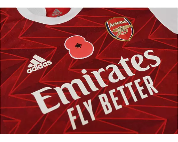 Arsenal's Empty Emirates: Poppy Shirts in Preparation for Aston Villa Match (2020-21)