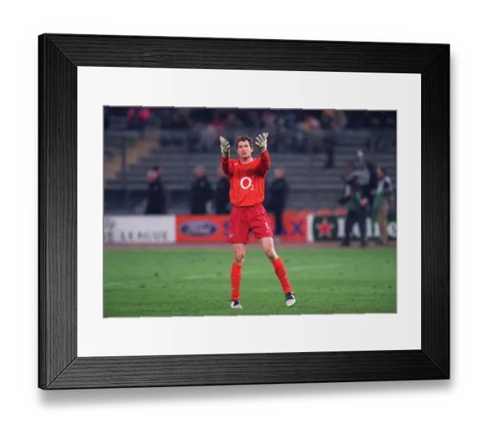 Framed Print : Jens Lehmann (Arsenal). Juventus 0: 0 Arsenal. UEFA Champions League Framed Print : Jens Lehmann (Arsenal). Juventus 0: 0 Arsenal. UEFA Champions League