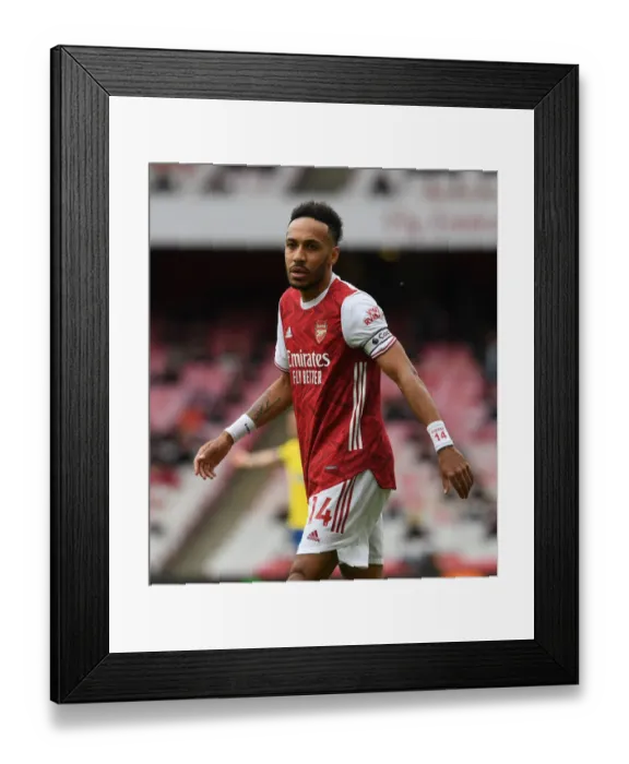 Framed Print : Aubameyang's Leadership: Arsenal's Victory Over Brighton in the 2020-21 Premier League Framed Print : Aubameyang's Leadership: Arsenal's Victory Over Brighton in the 2020-21 Premier League