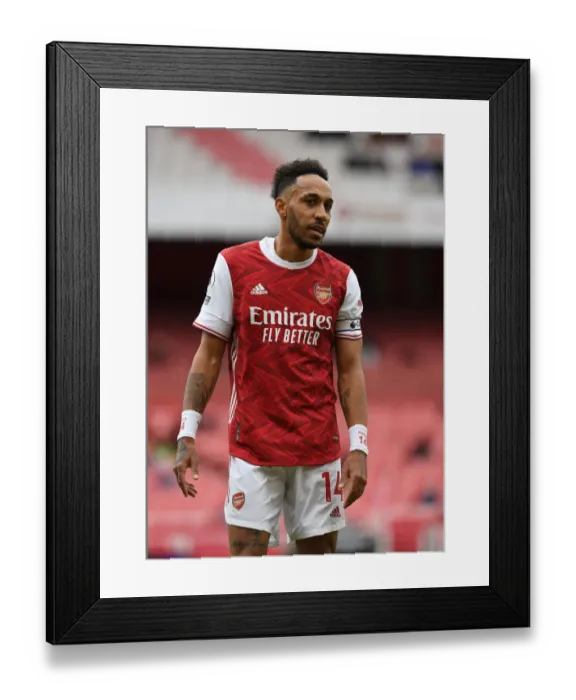 Framed Print : Arsenal's Aubameyang Stars: Arsenal 1-2 Brighton & Hove Albion (2020-21) Framed Print : Arsenal's Aubameyang Stars: Arsenal 1-2 Brighton & Hove Albion (2020-21)
