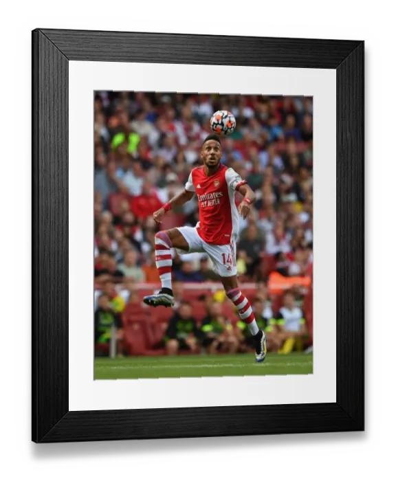 Framed Print : Arsenal's Aubameyang Shines in Arsenal's Victory over Norwich City (2021-22) Framed Print : Arsenal's Aubameyang Shines in Arsenal's Victory over Norwich City (2021-22)