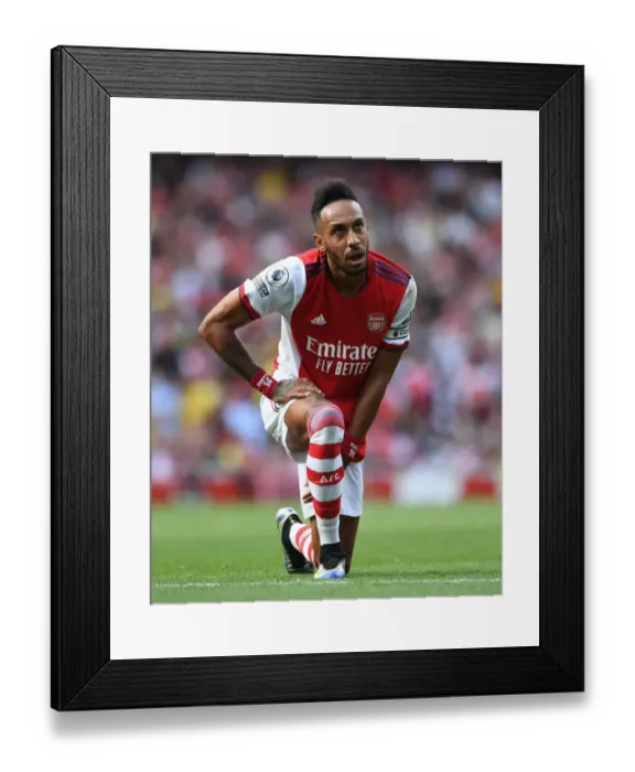 Framed Print : Arsenal's Aubameyang Scores Brace: Arsenal Victory over Norwich City (2021-22)