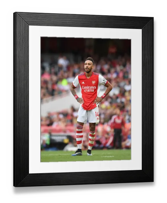 Framed Print : Arsenal's Aubameyang Scores Brace: Arsenal 3-1 Norwich City (2021-22)