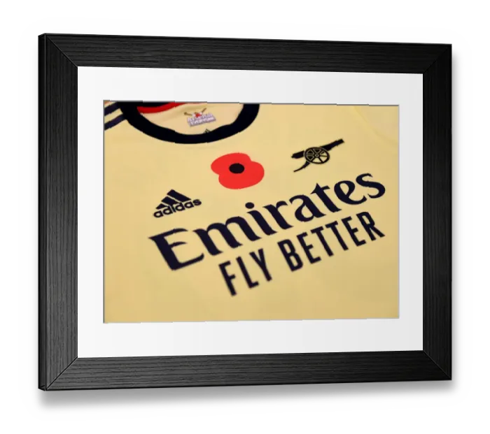 Framed Print : Arsenal's Poppy Shirts in Leicester Away Changing Room - Leicester City vs Arsenal, Premier League 2021-22 Framed Print : Arsenal's Poppy Shirts in Leicester Away Changing Room - Leicester City vs Arsenal, Premier League 2021-22