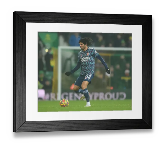 Framed Print : Mohamed Elneny in Action: Norwich City vs Arsenal, Premier League 2021-22 Framed Print : Mohamed Elneny in Action: Norwich City vs Arsenal, Premier League 2021-22