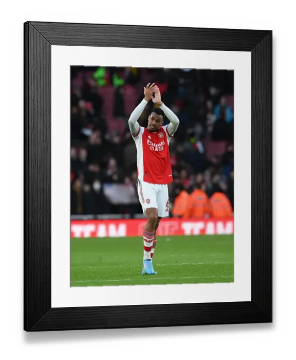Framed Print : Arsenal's Gabriel Magalhaes Celebrates with Fans after Arsenal v Brentford Match Framed Print : Arsenal's Gabriel Magalhaes Celebrates with Fans after Arsenal v Brentford Match