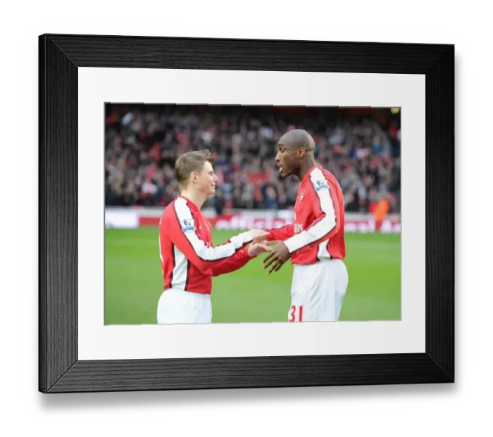 Framed Print : Sol Campbell and Andrey Arsahvin (Arsenal). Arsenal 2: 0 West Ham United Framed Print : Sol Campbell and Andrey Arsahvin (Arsenal). Arsenal 2: 0 West Ham United
