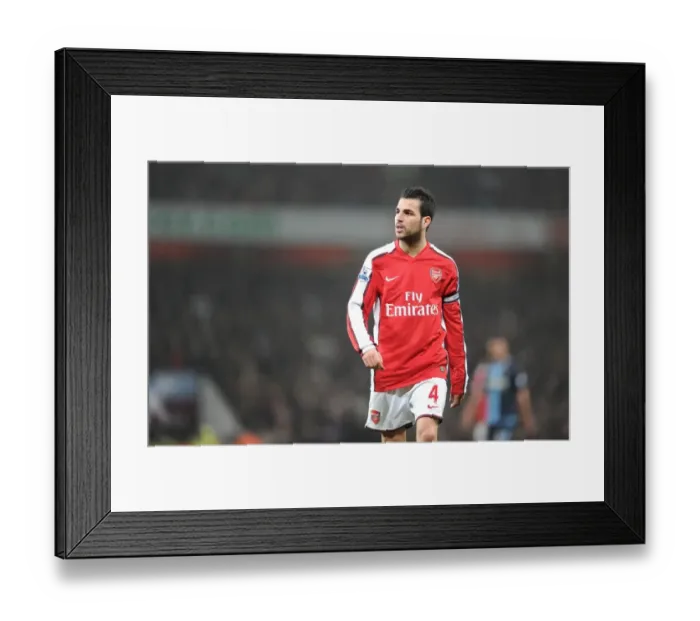 Framed Print : Cesc Fabregas (Arsenal). Arsenal 2: 0 West Ham United, Barclays Premeir League
