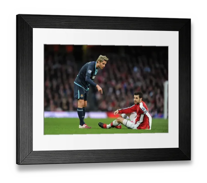 Framed Print : Cesc Fabregas (Arsenal) Valon Behrami (West Ham). Arsenal 2: 0 West Ham United