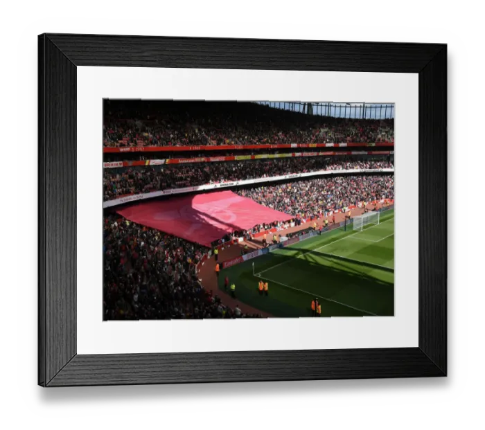 Framed Print : Arsenal v Brighton & Hove Albion - Premier League Arsenal v Brighton & Hove Albion - Premier League Framed Print : Arsenal v Brighton & Hove Albion - Premier League Arsenal v Brighton & Hove Albion - Premier League
