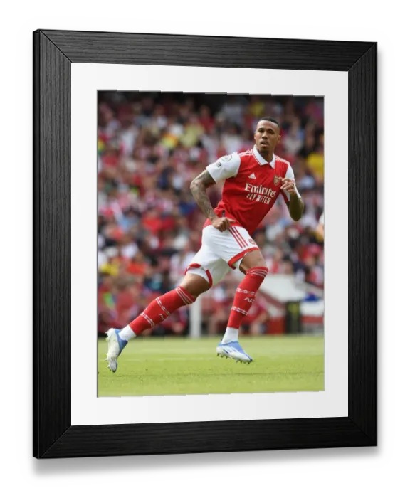 Framed Print : Gabriel Magalhaes in Action: Arsenal vs Everton, Premier League 2021-22 Framed Print : Gabriel Magalhaes in Action: Arsenal vs Everton, Premier League 2021-22