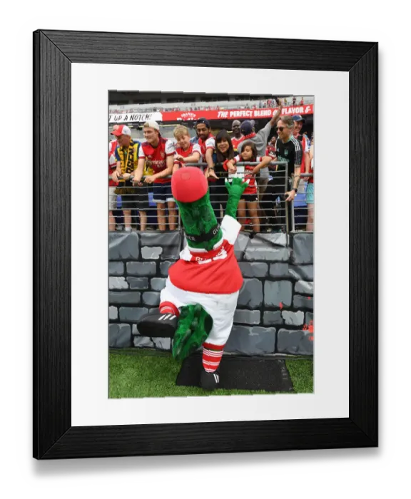 Framed Print : Arsenal vs. Everton: Pre-Season Clash at M&T Bank Stadium (2022) Framed Print : Arsenal vs. Everton: Pre-Season Clash at M&T Bank Stadium (2022)