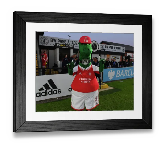 Framed Print : Arsenal WFC vs. Brighton & Hove Albion WFC: Barclays Women's Super League Showdown at Meadow Park