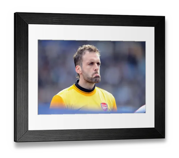 Framed Print : Manuel Almunia (Arsenal). Birmingham City 1: 1 Arsenal, Barclays Premier League Framed Print : Manuel Almunia (Arsenal). Birmingham City 1: 1 Arsenal, Barclays Premier League