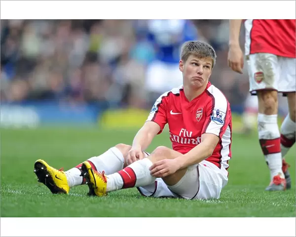 Andrey Arshavin (Arsenal). Birmingham City 1: 1 Arsenal, Barclays Premier League