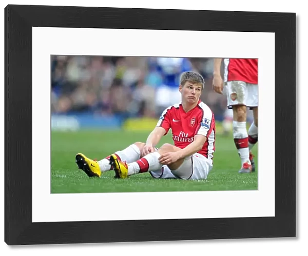 Andrey Arshavin (Arsenal). Birmingham City 1: 1 Arsenal, Barclays Premier League