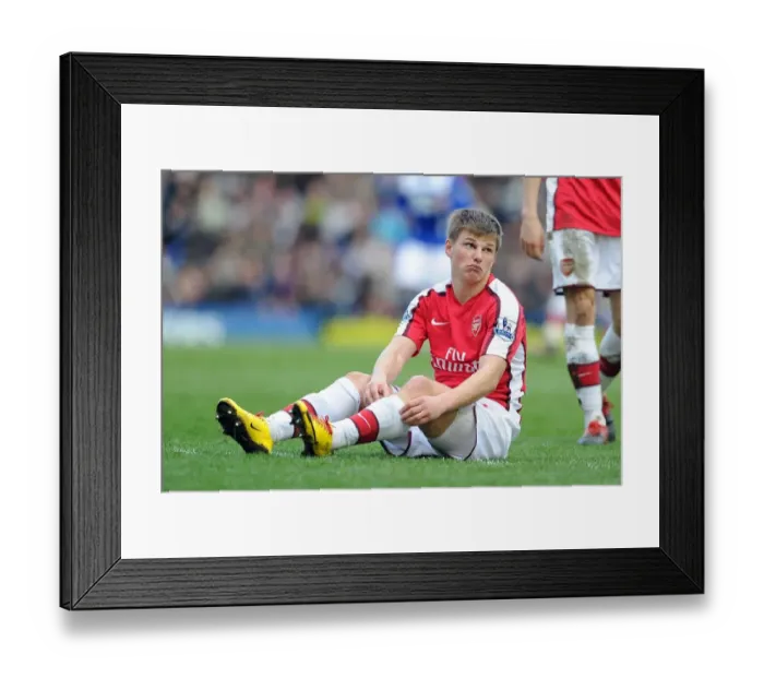 Framed Print : Andrey Arshavin (Arsenal). Birmingham City 1: 1 Arsenal, Barclays Premier League