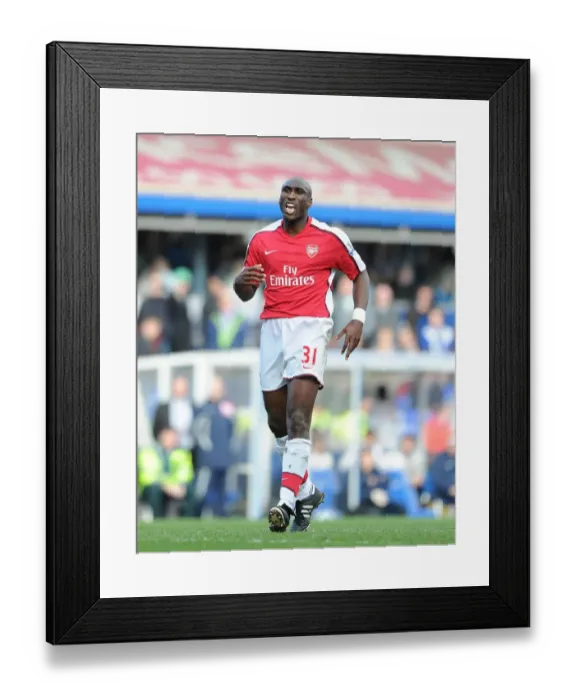 Framed Print : Sol Campbell (Arsenal). Birmingham City 1: 1 Arsenal, Barclays Premier League Framed Print : Sol Campbell (Arsenal). Birmingham City 1: 1 Arsenal, Barclays Premier League