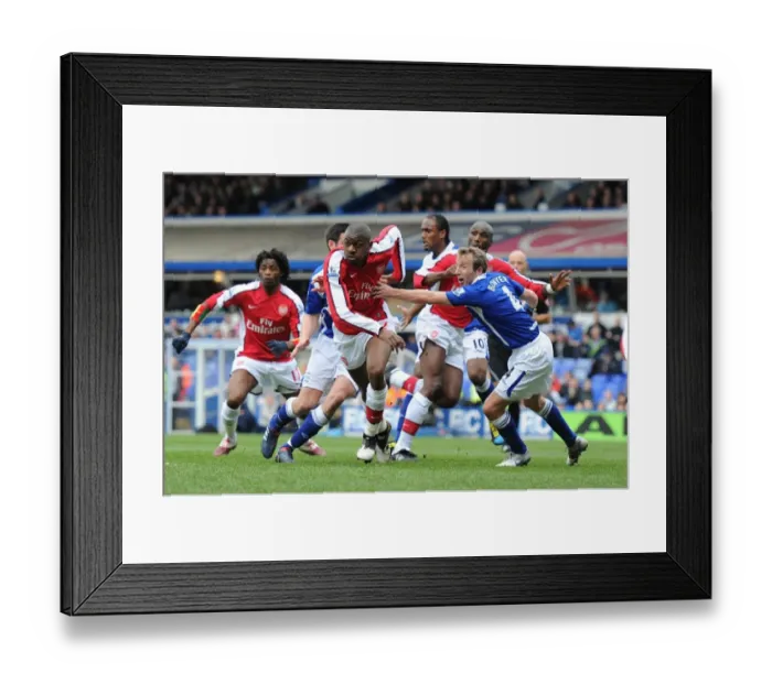 Framed Print : Abou Diaby (Arsenal) Lee Bowyer (Birmingham). Birmingham City 1: 1 Arsenal Framed Print : Abou Diaby (Arsenal) Lee Bowyer (Birmingham). Birmingham City 1: 1 Arsenal
