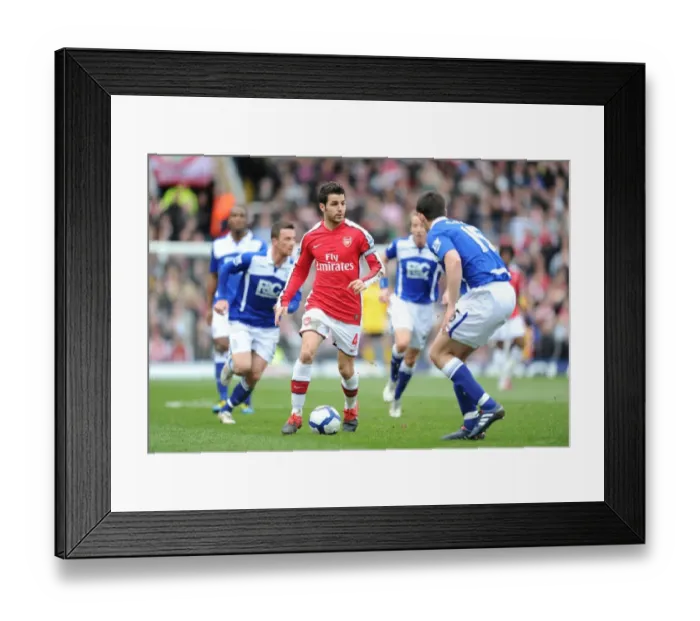 Framed Print : Abou Diaby vs. Scott Dann: Birmingham City Holds Arsenal to a Draw Framed Print : Abou Diaby vs. Scott Dann: Birmingham City Holds Arsenal to a Draw