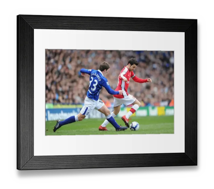 Framed Print : Abou Diaby (Arsenal) Scott Dann (Birmingham). Birmingham City 1: 1 Arsenal Framed Print : Abou Diaby (Arsenal) Scott Dann (Birmingham). Birmingham City 1: 1 Arsenal