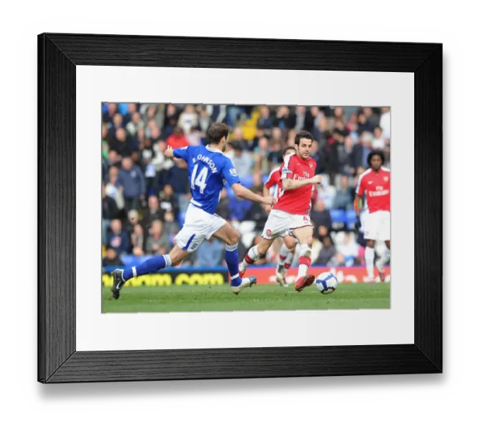 Framed Print : Abou Diaby (Arsenal) Roger Johnson (Birmingham). Birmingham City 1: 1 Arsenal Framed Print : Abou Diaby (Arsenal) Roger Johnson (Birmingham). Birmingham City 1: 1 Arsenal