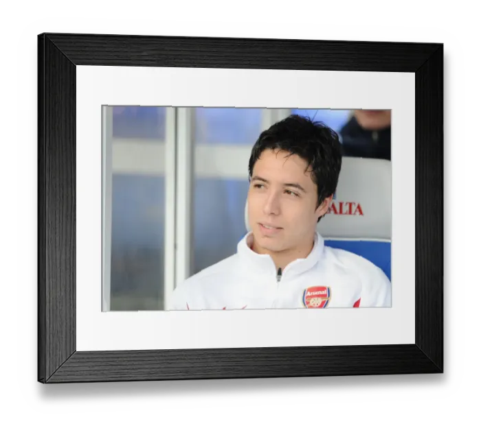 Framed Print : Samir Nasri (Arsenal). Birmingham City 1: 1 Arsenal, Barclays Premier League Framed Print : Samir Nasri (Arsenal). Birmingham City 1: 1 Arsenal, Barclays Premier League