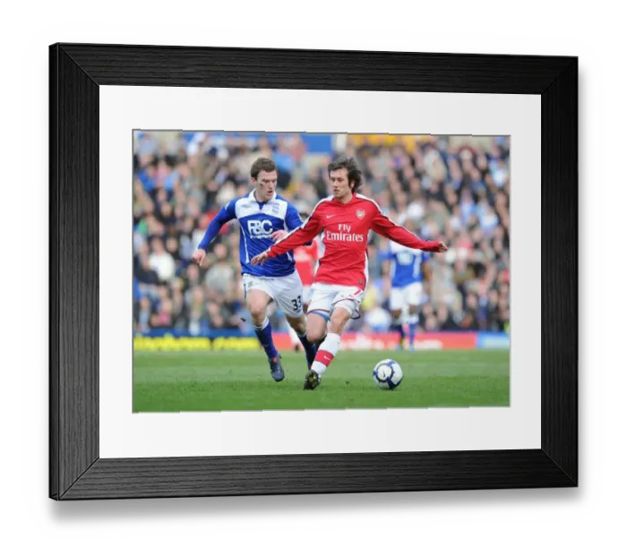 Framed Print : Tomas Rosicky (Arsenal) Craig Gardner (Birmingham). Birmingham City 1: 1 Arsenal