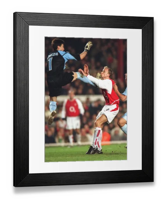 Framed Print : Bergkamp Cavallero040310AF. jpg