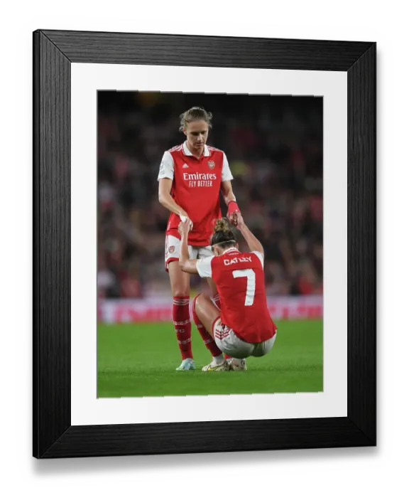 Framed Print : Arsenal vs FC Zurich: Viviane Miedema Consoles Steph Catley in UEFA Women's Champions League Group C Match Framed Print : Arsenal vs FC Zurich: Viviane Miedema Consoles Steph Catley in UEFA Women's Champions League Group C Match