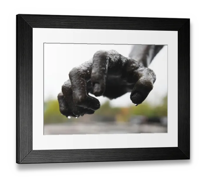 Framed Print : Arsenal vs. Nottingham Forest: Premier League Showdown at Emirates Stadium (2022-23) Framed Print : Arsenal vs. Nottingham Forest: Premier League Showdown at Emirates Stadium (2022-23)
