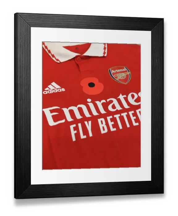 Framed Print : Arsenal's Poppy-Emblazoned Jerseys: Arsenal vs. Brighton & Hove Albion, Carabao Cup 2022-23 Framed Print : Arsenal's Poppy-Emblazoned Jerseys: Arsenal vs. Brighton & Hove Albion, Carabao Cup 2022-23
