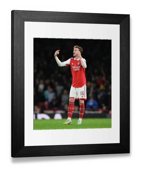 Framed Print : Arsenal vs Brighton & Hove Albion: Carabao Cup Battle at Emirates Stadium Framed Print : Arsenal vs Brighton & Hove Albion: Carabao Cup Battle at Emirates Stadium