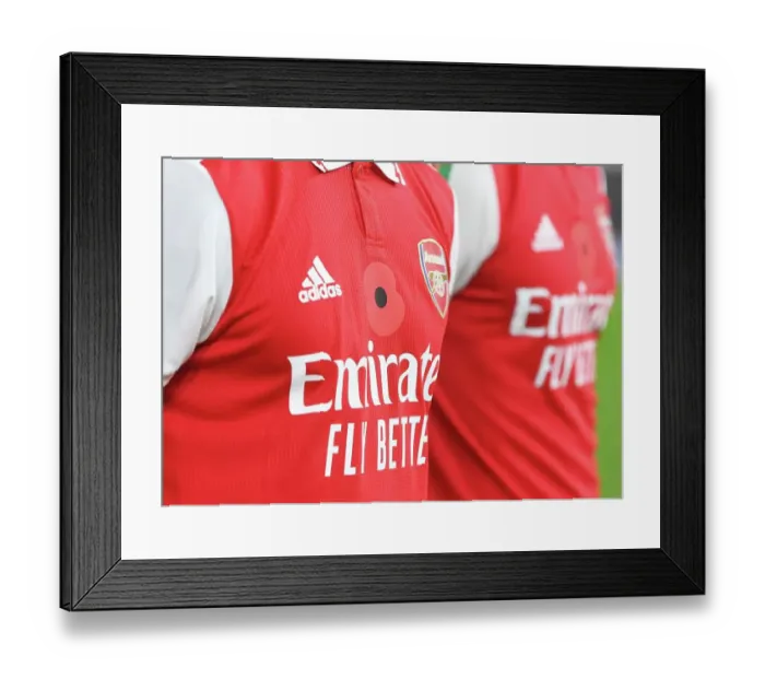 Framed Print : Arsenal in Poppies: Arsenal vs Brighton & Hove Albion, Carabao Cup 2022-23