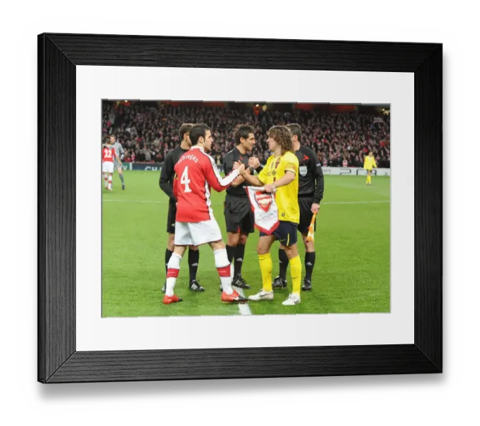 Framed Print : Cesc Fabregas (Arsenal) Carlos Puyol (Barcelona). Arsenal 2: 2 Barcelona