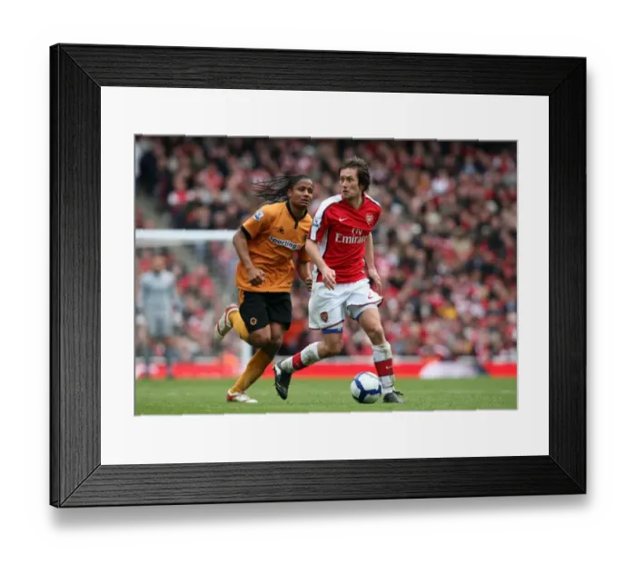 Framed Print : Rosicky's Goal: Arsenal Edge Past Wolverhampton 1-0