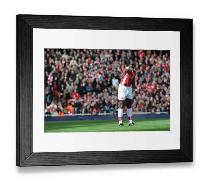 Framed Print : Sol Campbell (Arsenal). Arsenal 1: 0 Wolverhampton Wanderers, FA Barclays Premier League