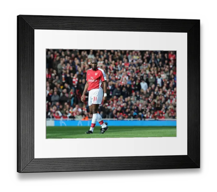 Framed Print : Sol Campbell's Game-winning Goal: Arsenal 1-0 Wolverhampton Wanderers, FA Premier League 2010